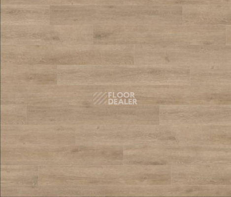 Ламинат Haro Tritty 100 4V ДУБ ВЕНЕТО КРЕМОВЫЙ 535261 фото 1 | FLOORDEALER